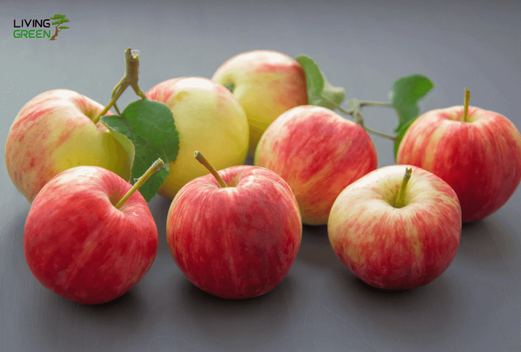 Fruits Reduce Cholesterol