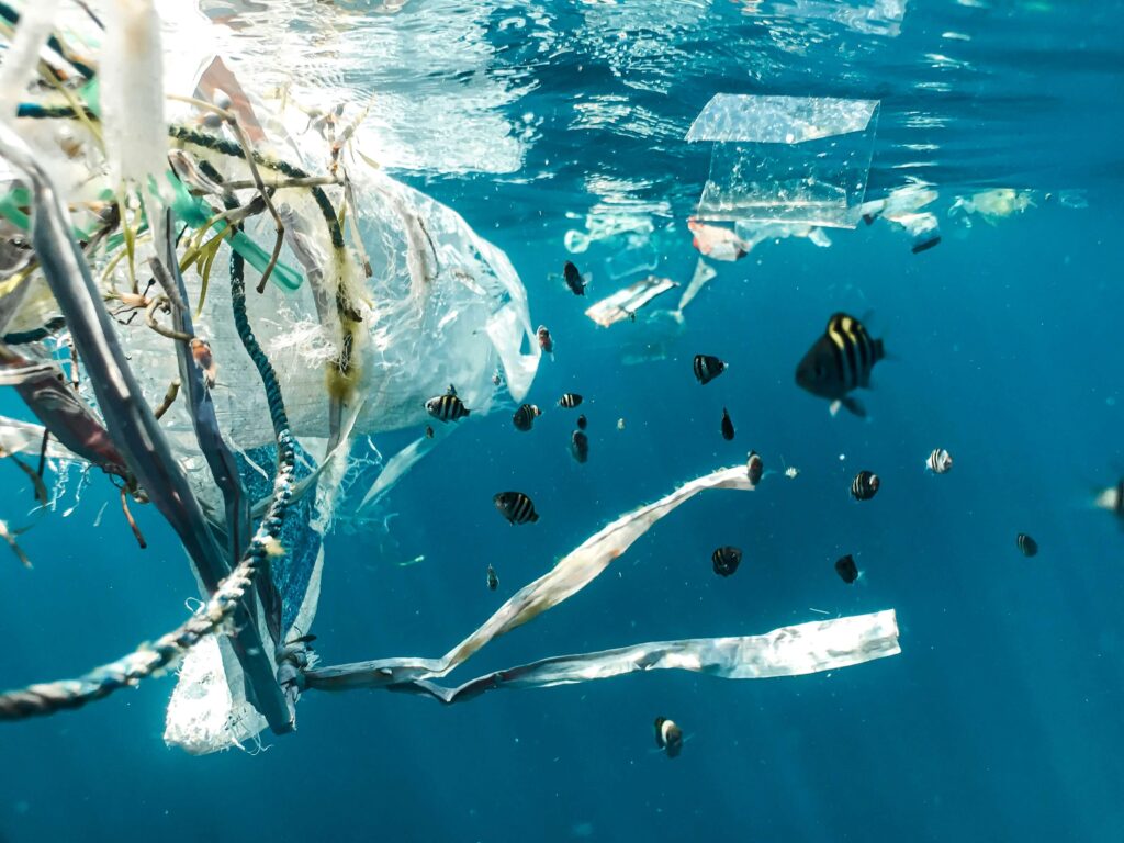 Ways to Reduce Plastic Use