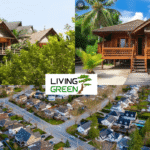 Using Bamboo in Construction