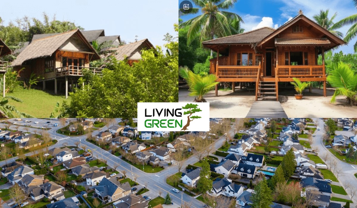 Using Bamboo in Construction