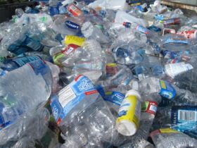 Ways to Reduce Plastic Use